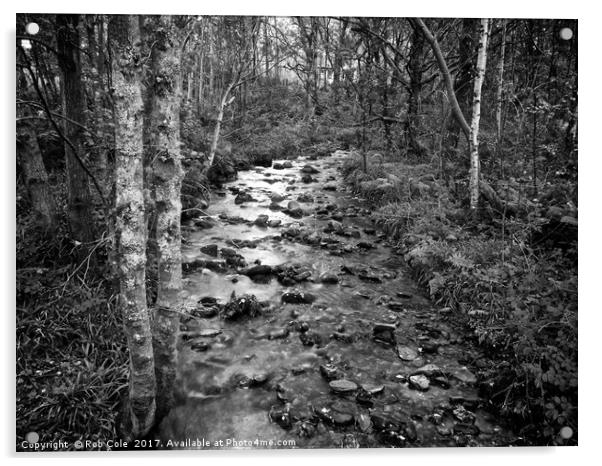 Woodland Stream, Trossachs, Scotland, UK Acrylic by Rob Cole