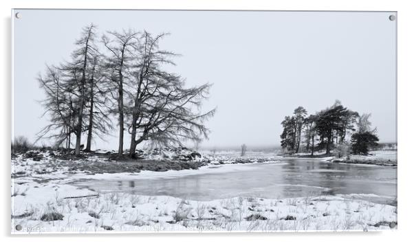 Winter on Loch Tulla Acrylic by Stephen Taylor