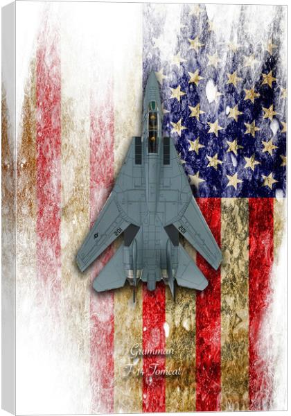 Grumman F-14 Tomcat Canvas Print by J Biggadike