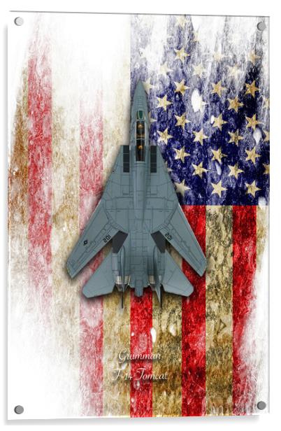 Grumman F-14 Tomcat Acrylic by J Biggadike
