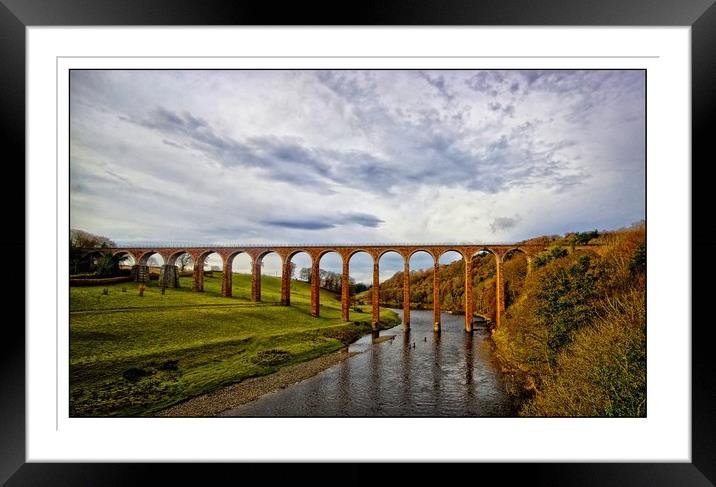 Leaderfoot viaduct over the Tweed Framed Mounted Print by jane dickie
