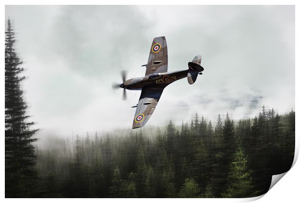 Treetop Spitfire Print by J Biggadike