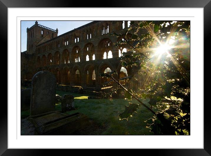 Jedburgh Abbey sunburst Framed Mounted Print by jane dickie