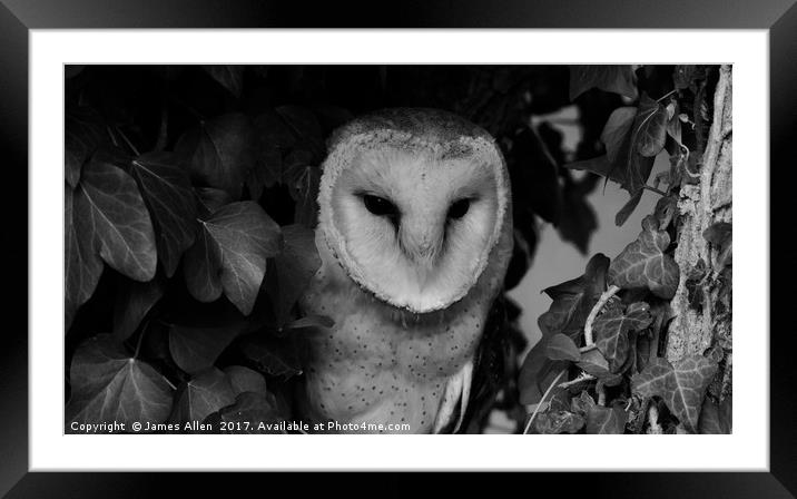 Owls Den! (Barn Owl black & White) Framed Mounted Print by James Allen