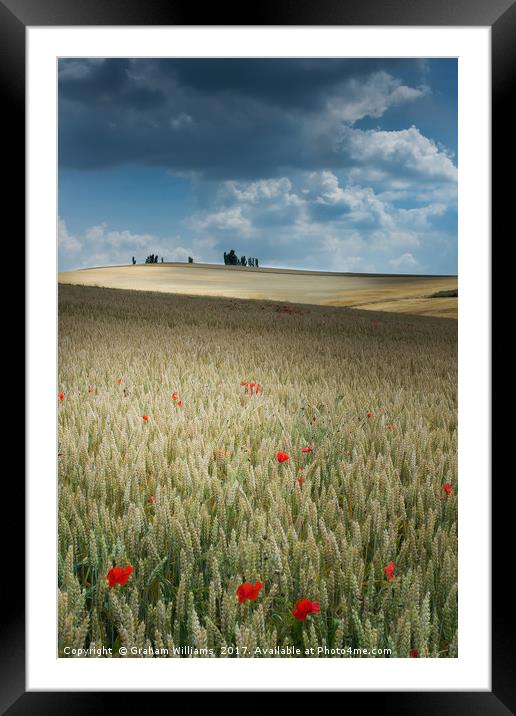 Poppies in Champagne Framed Mounted Print by Graham Williams