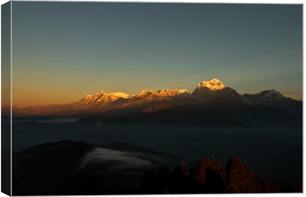 Shining Golden Mount Annapurna Canvas Print by Ambir Tolang