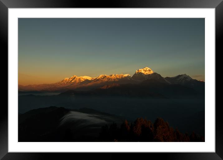 Shining Golden Mount Annapurna Framed Mounted Print by Ambir Tolang