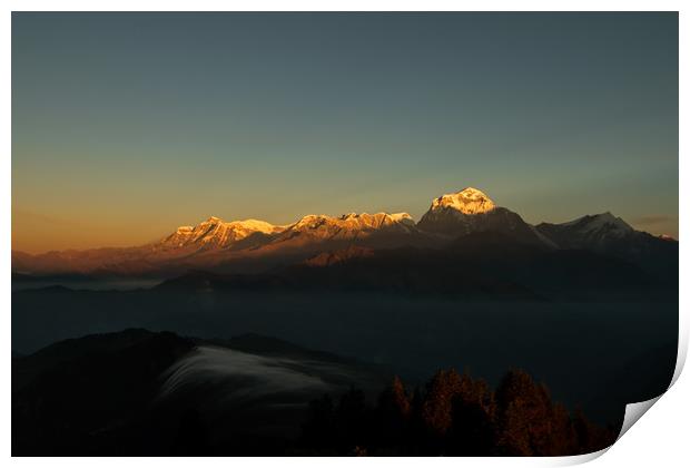 Shining Golden Mount Annapurna Print by Ambir Tolang