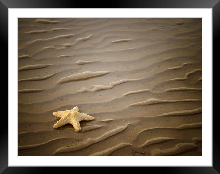 Starfish  Framed Mounted Print by Victor Burnside