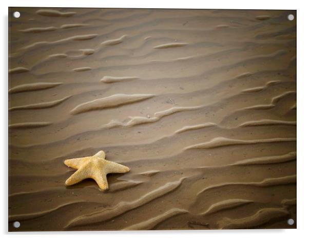 Starfish  Acrylic by Victor Burnside