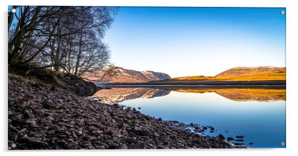Scottish Highlands Acrylic by David Cook