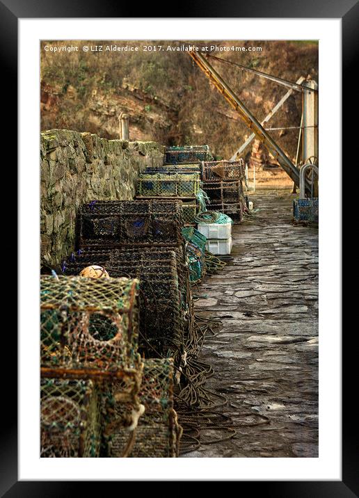 Creels at Crail Framed Mounted Print by LIZ Alderdice