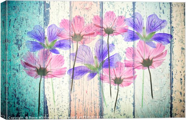 Floral Grunge Panel Canvas Print by Steve Whitham