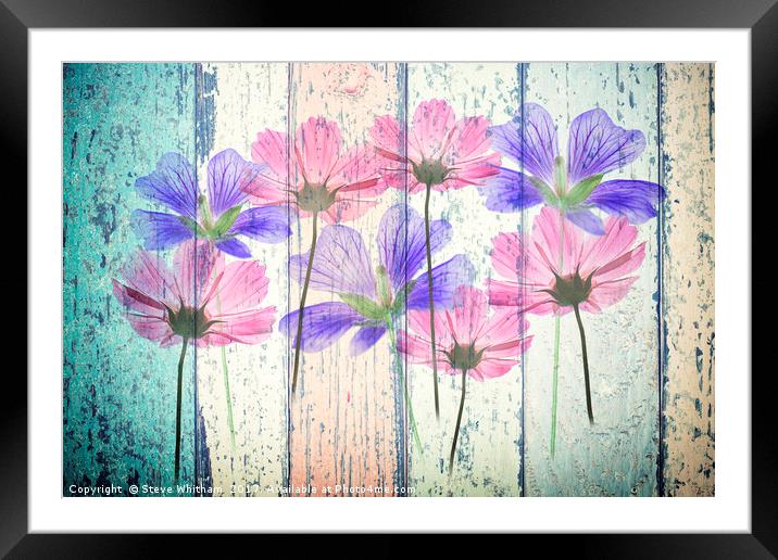 Floral Grunge Panel Framed Mounted Print by Steve Whitham