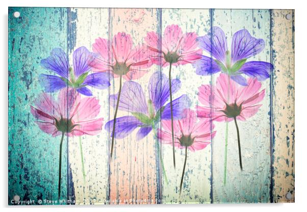 Floral Grunge Panel Acrylic by Steve Whitham