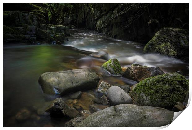 Fairy glen, on a stream in South Wales. Print by Bryn Morgan