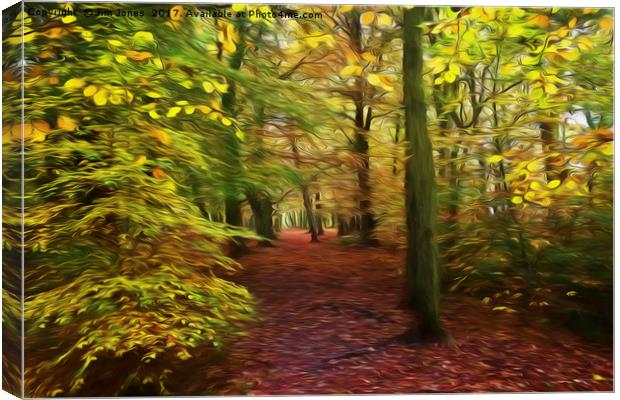 Walk in the Enchanted Forest Canvas Print by Jim Jones
