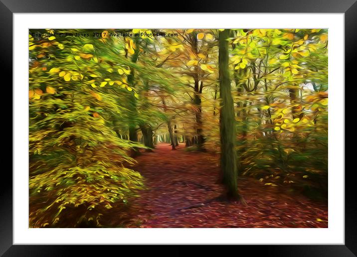 Walk in the Enchanted Forest Framed Mounted Print by Jim Jones