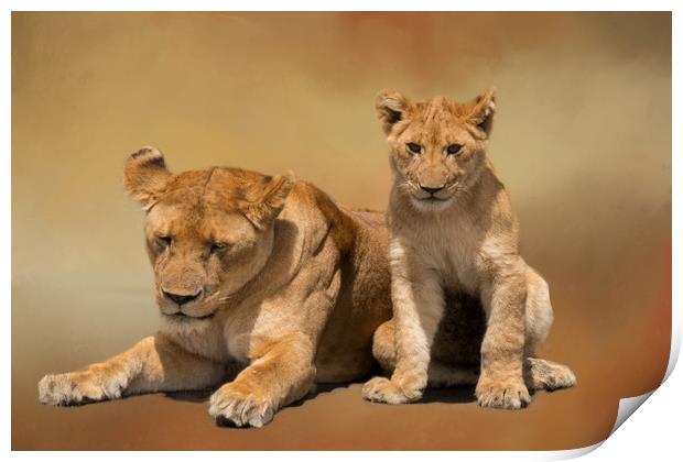 Mother and cub lions Print by David Owen