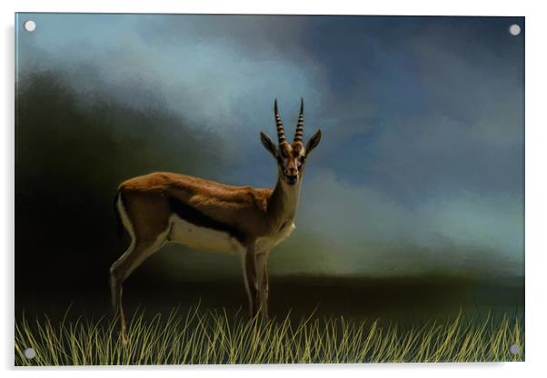 Gazelle Acrylic by David Owen
