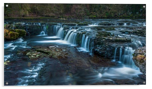 Aysgarth Falls Acrylic by Paul Andrews
