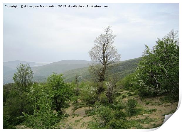 A nice view of fog in  in jungle 4,, Print by Ali asghar Mazinanian