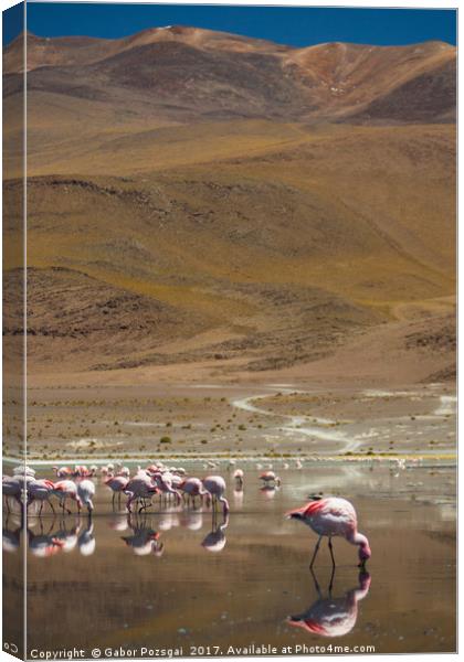 Laguna Colorada, Andes, Bolivia Canvas Print by Gabor Pozsgai