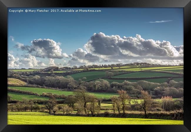 Cornish Landscape Framed Print by Mary Fletcher