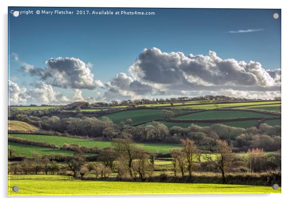 Cornish Landscape Acrylic by Mary Fletcher