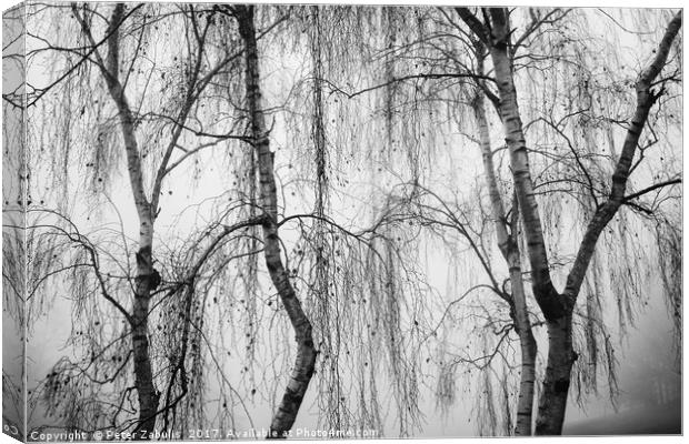 Shrouded in Fog Canvas Print by Peter Zabulis