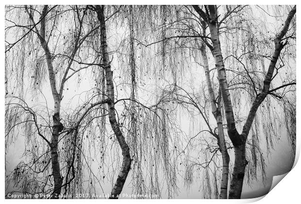 Shrouded in Fog Print by Peter Zabulis