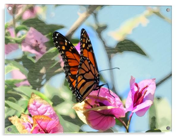 Butterfly Beauty Acrylic by Beryl Curran