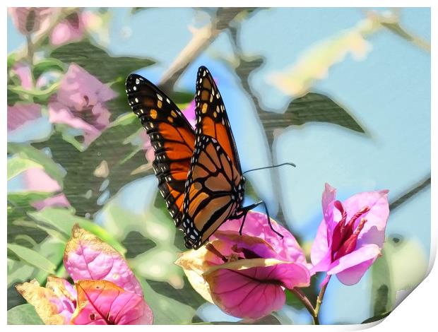 Butterfly Beauty Print by Beryl Curran