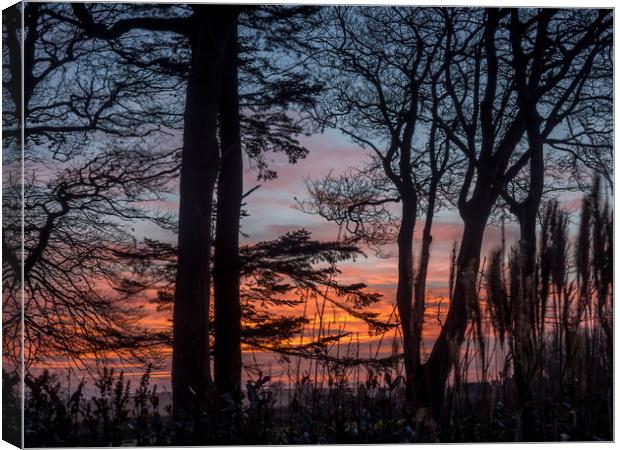 Fire in the Sky, Pembrokeshire, Wales, UK Canvas Print by Mark Llewellyn