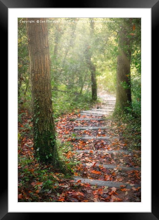 Autumn Steps Framed Mounted Print by Ian Flanagan