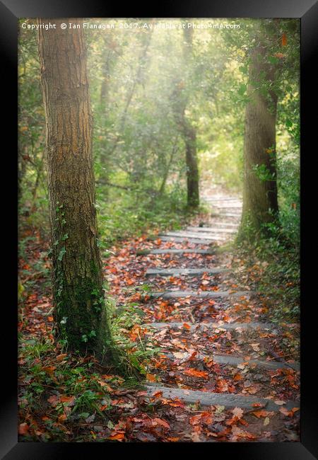Autumn Steps Framed Print by Ian Flanagan