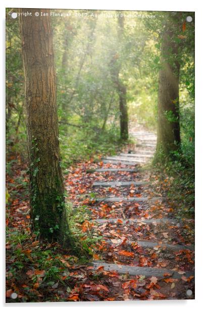 Autumn Steps Acrylic by Ian Flanagan