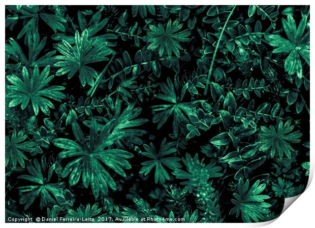Dark Flora Photo Print by Daniel Ferreira-Leite