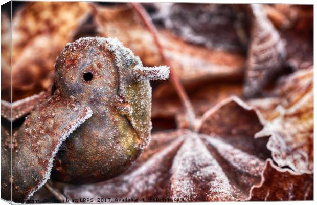 Cute frozen little bird and leaves Canvas Print by Simon Bratt LRPS