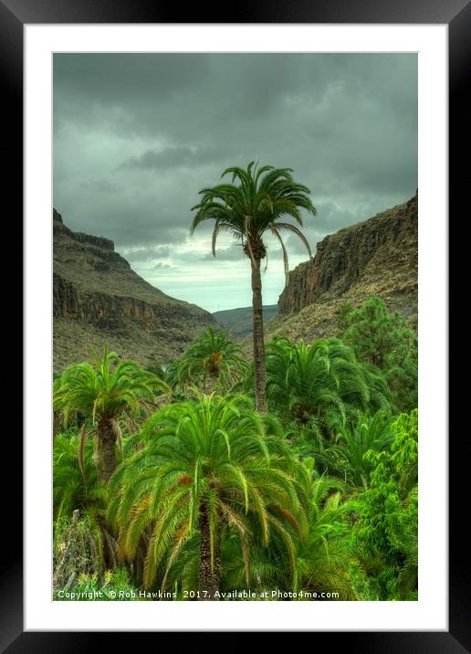 Palmitos Palms  Framed Mounted Print by Rob Hawkins