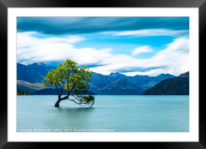 The Lone Tree Framed Mounted Print by Alexander Jeffrey