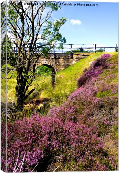 Hamer Bridge, North York Moors Canvas Print by Richard Pinder