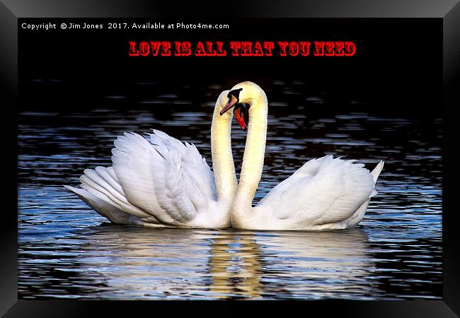 Love is all that you need! Framed Print by Jim Jones