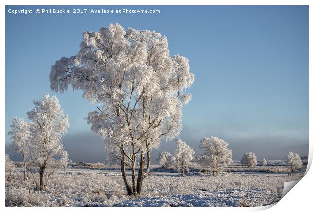 Winter coat Print by Phil Buckle