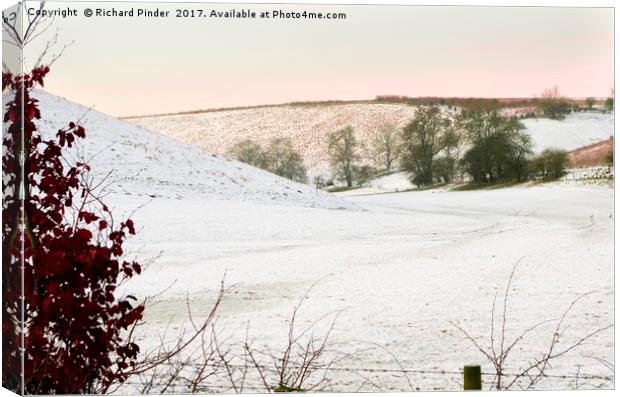 Brubberdale in the East Yorkshire Wolds Canvas Print by Richard Pinder
