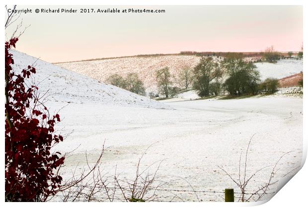 Brubberdale in the East Yorkshire Wolds Print by Richard Pinder