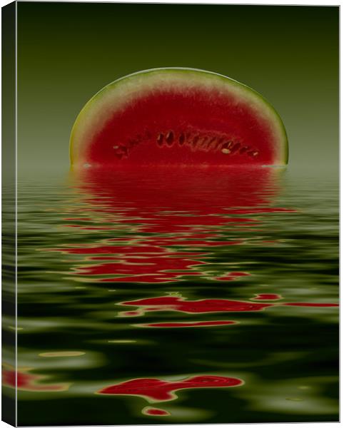 Water Melon Canvas Print by David French
