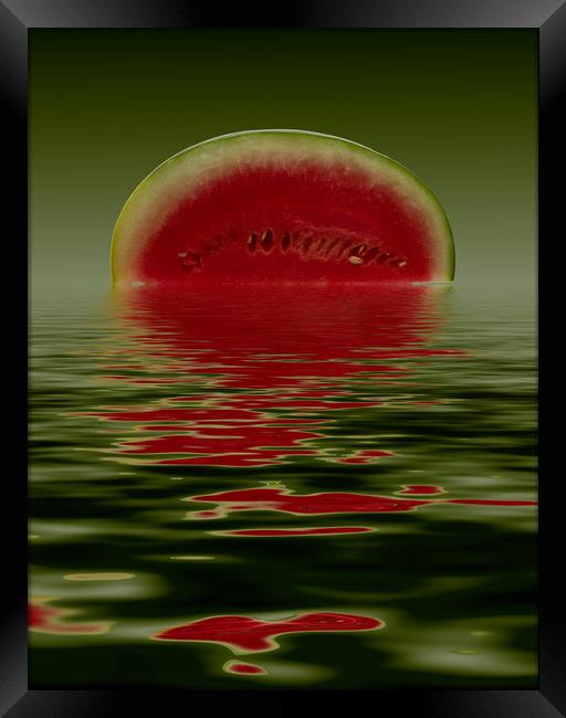Water Melon Framed Print by David French