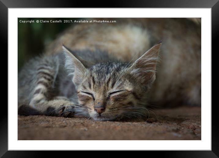 Cat Nap Framed Mounted Print by Claire Castelli