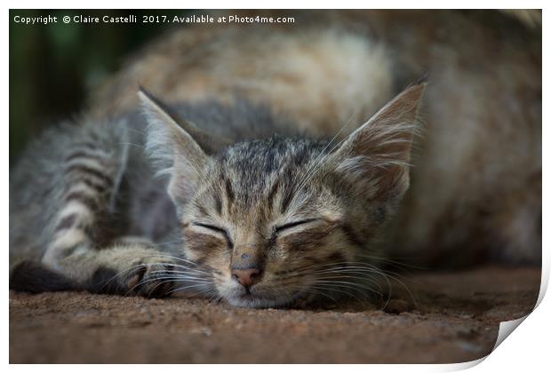 Cat Nap Print by Claire Castelli
